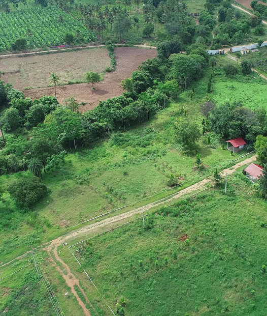 Gated Farmland Near Bangalore